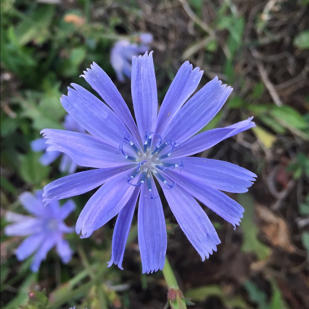 Meet your Posher, Sef